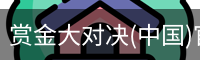 赏金大对决
